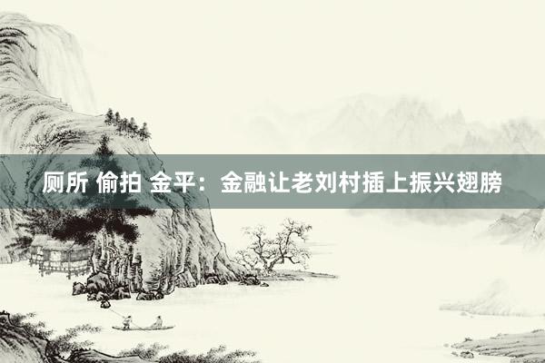 厕所 偷拍 金平：金融让老刘村插上振兴翅膀