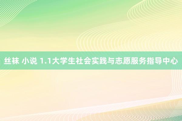 丝袜 小说 1.1大学生社会实践与志愿服务指导中心