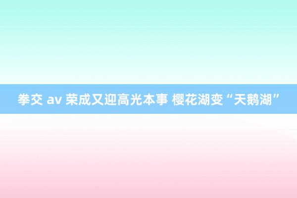 拳交 av 荣成又迎高光本事 樱花湖变“天鹅湖”