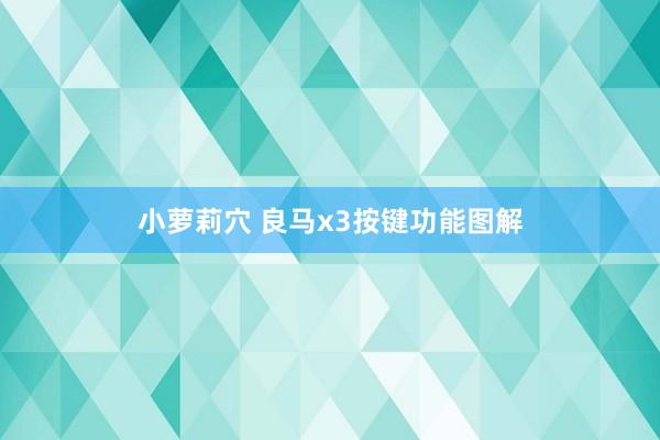 小萝莉穴 良马x3按键功能图解