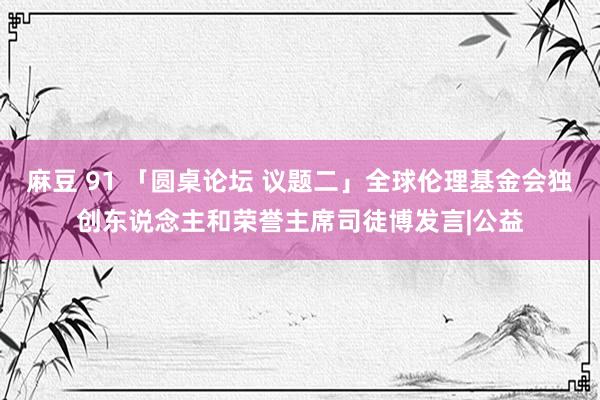 麻豆 91 「圆桌论坛 议题二」全球伦理基金会独创东说念主和荣誉主席司徒博发言|公益
