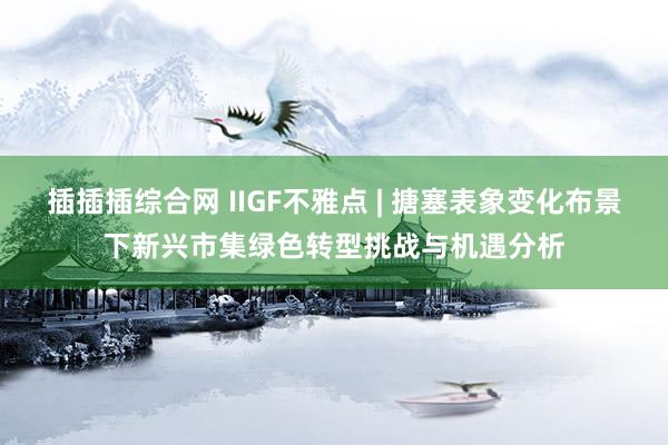插插插综合网 IIGF不雅点 | 搪塞表象变化布景下新兴市集绿色转型挑战与机遇分析