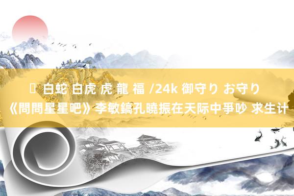 ✨白蛇 白虎 虎 龍 福 /24k 御守り お守り 《問問星星吧》李敏鎬孔曉振在天际中爭吵 求生计
