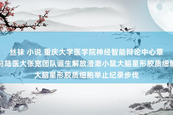 丝袜 小说 重庆大学医学院神经智能辩论中心覃涵、廖祥团队与陆医大张宽团队诞生解放澄澈小鼠大脑星形胶质细胞举止纪录步伐