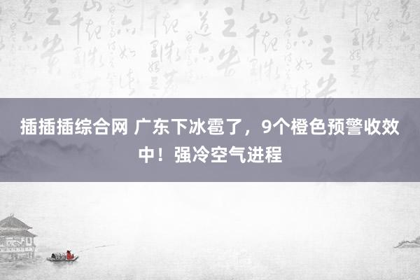 插插插综合网 广东下冰雹了，9个橙色预警收效中！强冷空气进程