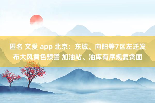 匿名 文爱 app 北京：东城、向阳等7区左迁发布大风黄色预警 加油站、油库有序规复贪图
