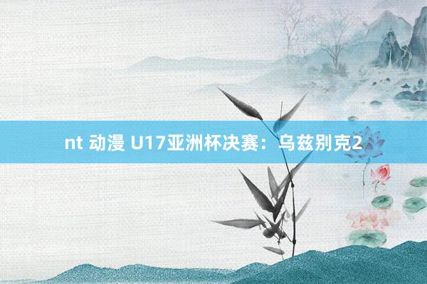 nt 动漫 U17亚洲杯决赛：乌兹别克2