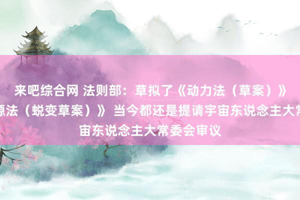 来吧综合网 法则部：草拟了《动力法（草案）》《矿产资源法（蜕变草案）》 当今都还是提请宇宙东说念主大常委会审议