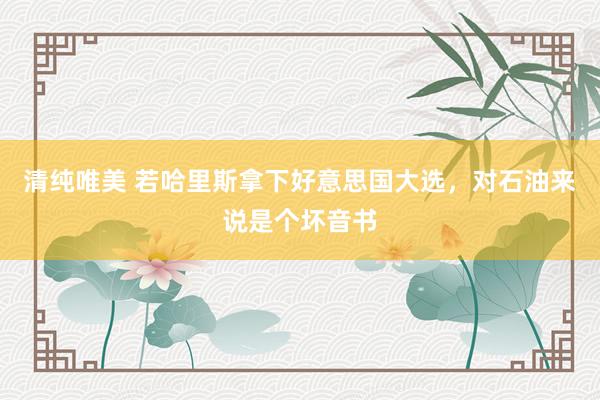 清纯唯美 若哈里斯拿下好意思国大选，对石油来说是个坏音书