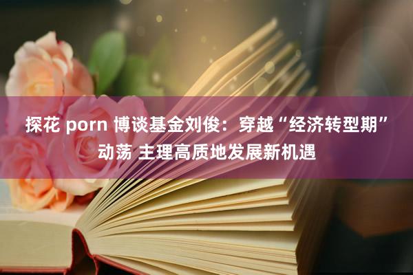 探花 porn 博谈基金刘俊：穿越“经济转型期”动荡 主理高质地发展新机遇