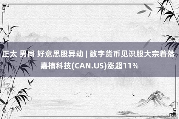 正太 男同 好意思股异动 | 数字货币见识股大宗着落 嘉楠科技(CAN.US)涨超11%