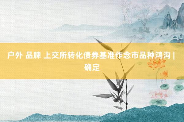 户外 品牌 上交所转化债券基准作念市品种鸿沟 | 确定