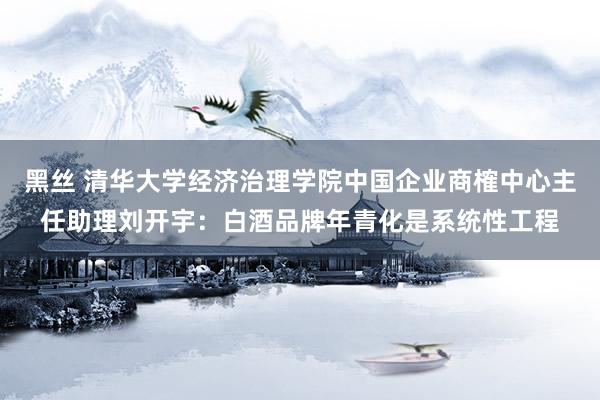 黑丝 清华大学经济治理学院中国企业商榷中心主任助理刘开宇：白酒品牌年青化是系统性工程