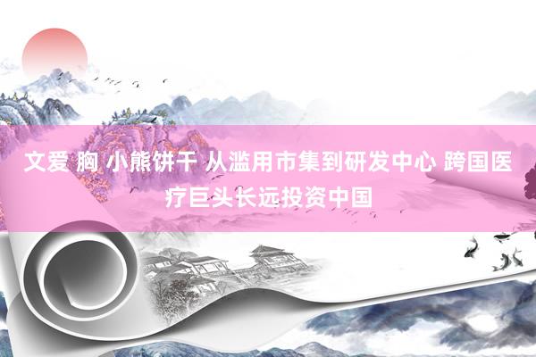 文爱 胸 小熊饼干 从滥用市集到研发中心 跨国医疗巨头长远投资中国